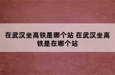 在武汉坐高铁是哪个站 在武汉坐高铁是在哪个站